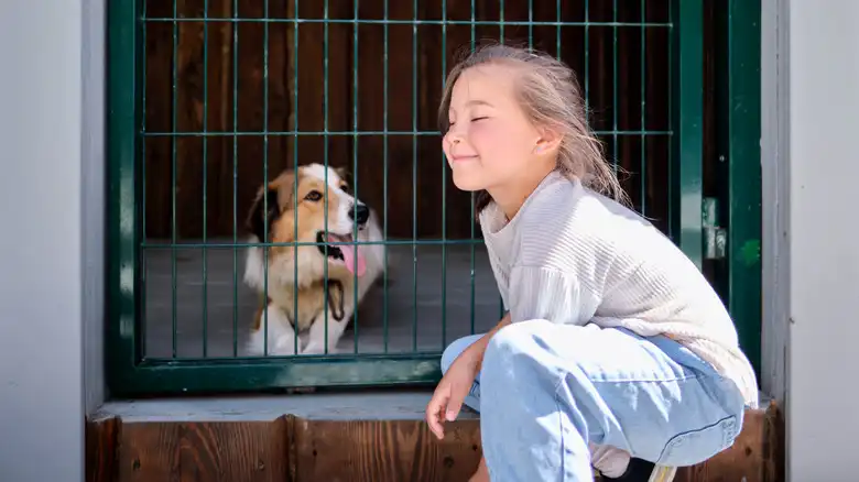 The One Time Of Year You Should Think Twice About Adopting A Dog