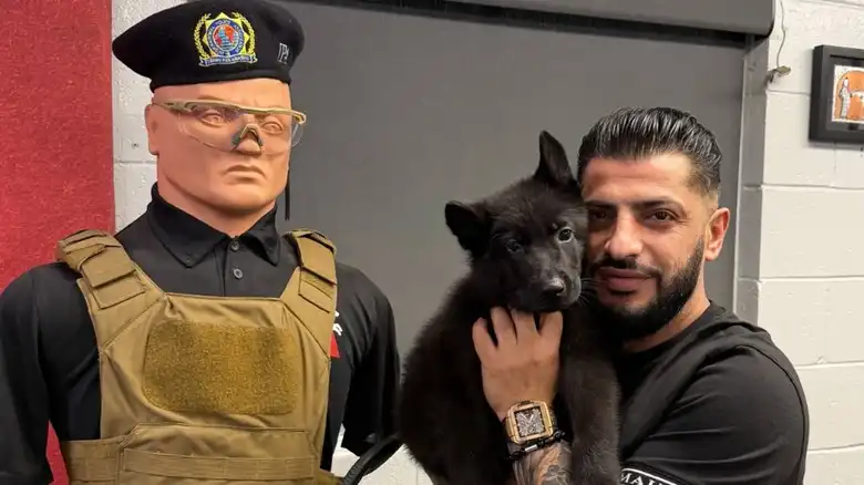 German Shepherd Puppies Starting Their K-9 Journeys Are As Fierce As They Are Cute