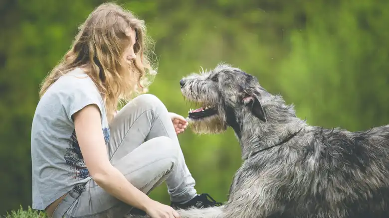 15 Most Emotionally Intelligent Dog Breeds For A Close Bond